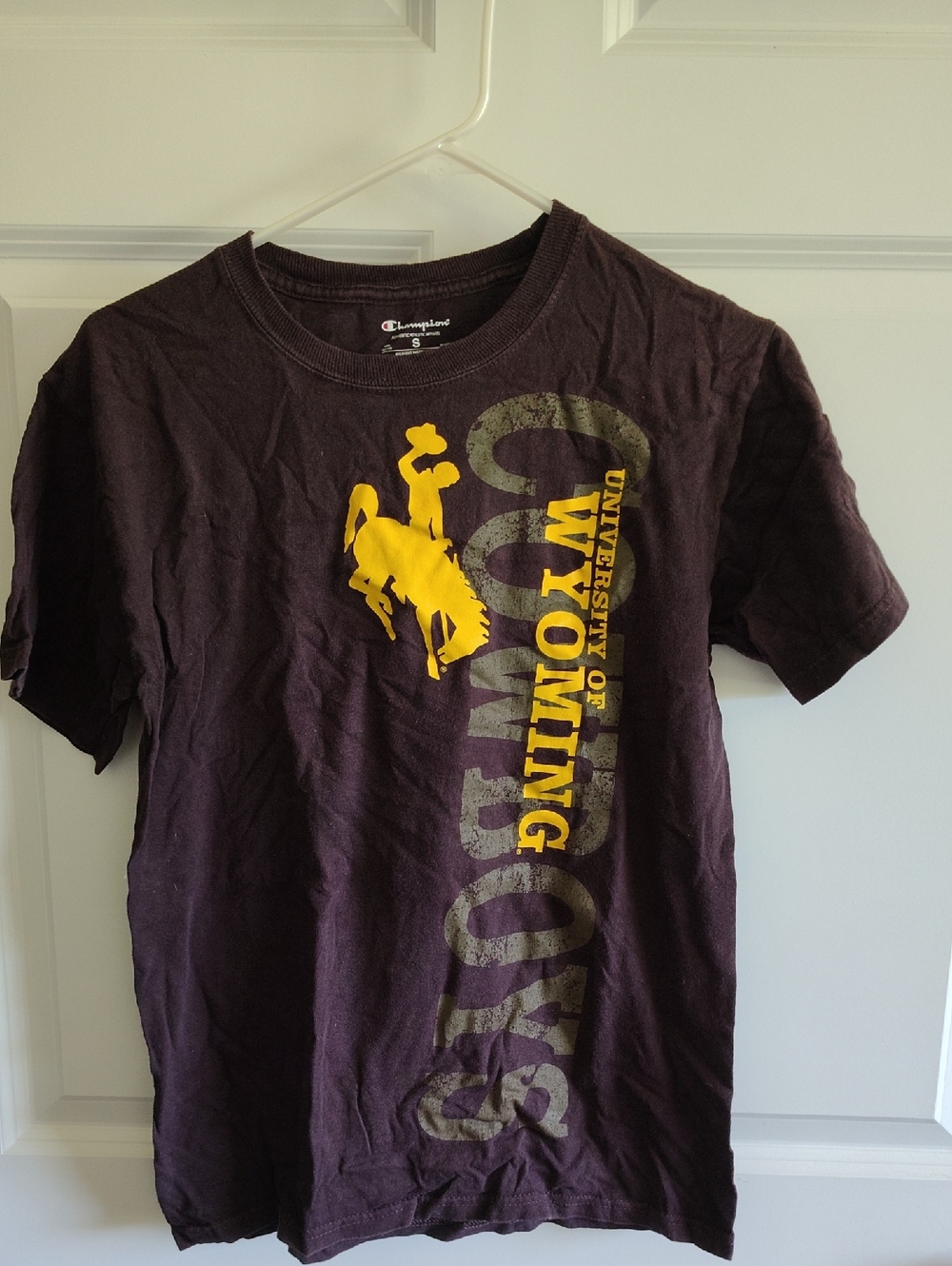 Champion Brown Crewneck Tee with University Of Wyoming Emblem